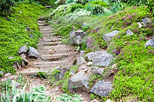 Stony stairs in the green garden