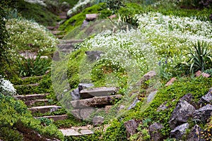 Stony stairs in the green garden