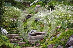 Stony stairs in the green garden