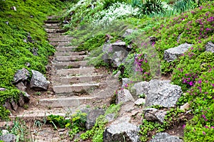 Stony stairs in the green garden