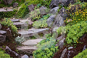 Stony stairs in the green garden