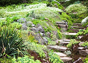 Stony stairs in the green garden