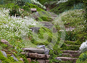 Stony stairs in the green garden