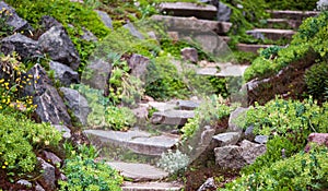 Stony stairs in the green garden