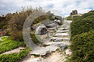 Stony stairs in the rockery in Kyiv botanical garden