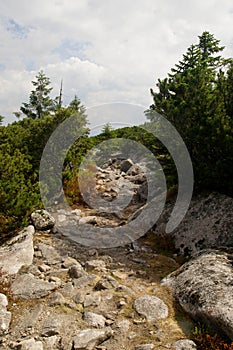 Stony trail in the Snowy Kettles/ Sniezne Kotly