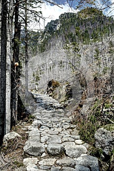 Stony turist pavement