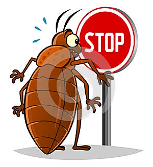 Stop bedbugs