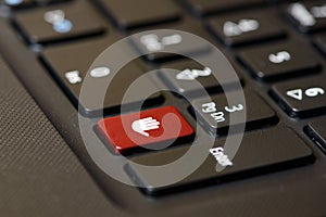 The stop button on the computer keyboard
