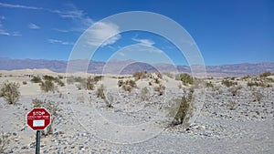 Stop: extreme heat! Death Valley Sand Dunes