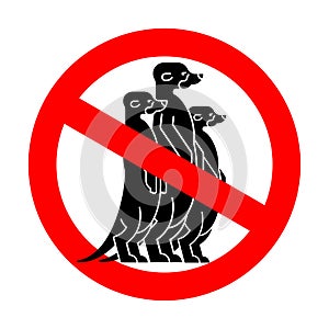Stop Meerkat. Red road Forbidding sign. Ban Small mongoose