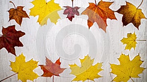 Stop motion animation autumn yellow leaves in motion top view copy space, background for text maple leaves