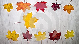 Stop motion animation autumn yellow leaves in motion top view copy space, background for text multicolored maple leaves