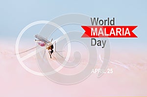 Stop, prohibit sign on mosquito bite human skin, Human blood in insect stomach. WORLD MALARIA DAY.