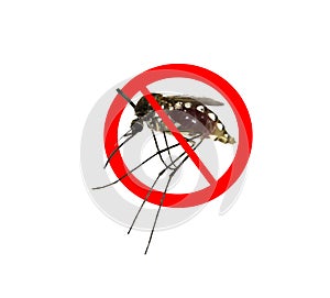 Stop/ Prohibit sign on mosquito photo