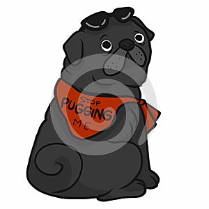 Stop pugging me word on red scarf, black fat pug cartoon illustration