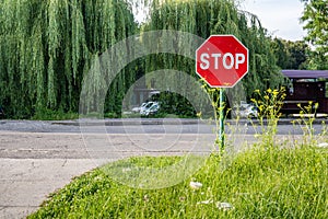 A STOP road sign was installed at an intersection overgrown with bushes and grass. Road and trees in the background