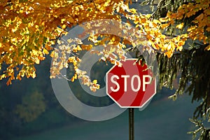 Stop Sign