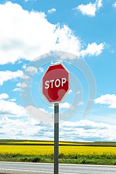 Stop sign against a background of a yellow field and blue sky