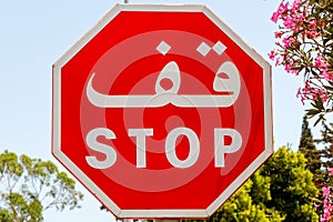 Stop Sign in Arabic and English, Africa