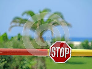 Stop sign on the barrier with palm tree, blue sky and sea in the background, concept of travel cancellation