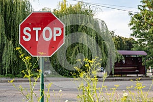 STOP sign close-up, the sign is overgrown with bushes, in the background there is a road, trees