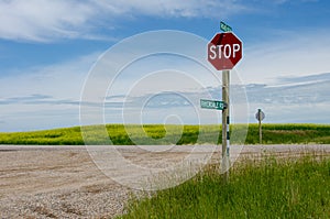 Stop sign and country roads and vibrant yellow canola fields in rural Manitoba, Canada