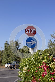 Stop sign on the road. Stop sign on the prairie. Road junction, stop word