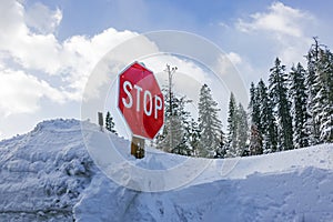 Stop sign on the roadside almost covered with snow