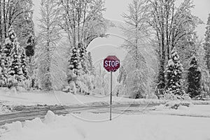 Stop Sign set in a Snowy day country road background