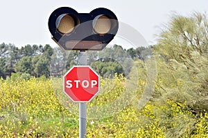 Stop sign with traffic light at a level crossing photo