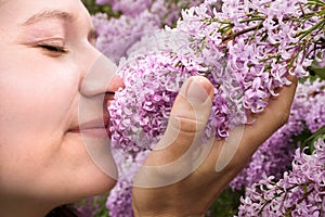 Stop and Smell the Lilacs photo