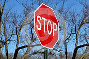 Stop Traffic Sign On Country Road