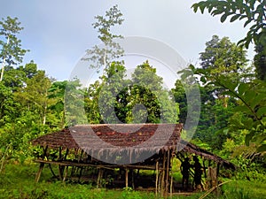A stopover lodge for local people from OYAA village, WONDAMA city