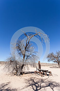 Stopover rest place in Kgalagadi transfontier park