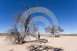 Stopover rest place in Kgalagadi transfontier park