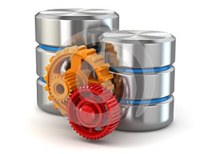Storage administration concept. Database symbol and gears. photo