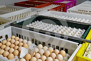 Storage baskets and egg boxes