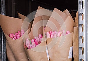 Storage of cut tulips in a refrigerator, at the right temperature, spring flowers grown in a greenhouse.Spring flowers and