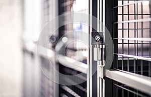 Storage door with lock in basement of condo apartment building. Metal cage locker in cellar or garage. Small domestic warehouse.