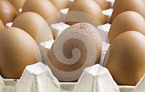 Storage of fresh egg for cooking