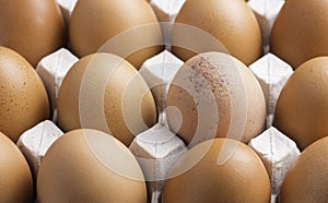 storage of fresh egg for cooking