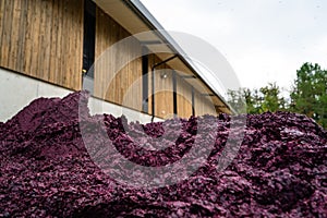 Storage of grape marc after vinification, Bordeaux Vineyard photo