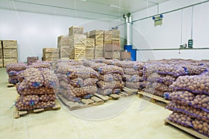 Storage house potato in bags and crates