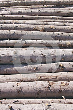 Storage of logs. Logging.