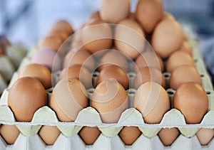 Storage of many of eggs in paper box