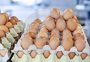 Storage of many of eggs in paper box