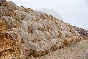 Storage with piles of stacks of hay