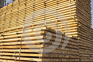 Storage of piles of wooden boards on the sawmill. Boards are stacked in a carpentry shop. Sawing drying and marketing of