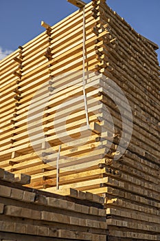 Storage of piles of wooden boards on the sawmill. Boards are stacked in a carpentry shop. Sawing drying and marketing of